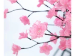 Luminea Leuchtbaum:LED-Deko-Kirschbaum, 384 Beleuchtete Blüten, 150 Cm, Für Innen & Außen -Lunartec Shop nx1452 3