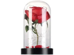 Lunartec Rose Im Glas:Edle Kunst-Rose Mit LED-Beleuchtung In Echtglas-Kuppel, Rot -Lunartec Shop nx9635 2