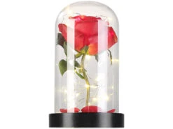 Lunartec Rose Im Glas:Edle Kunst-Rose Mit LED-Beleuchtung In Echtglas-Kuppel, Rot -Lunartec Shop nx9635 3