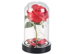Lunartec Rose Im Glas:Edle Kunst-Rose Mit LED-Beleuchtung In Echtglas-Kuppel, Rot -Lunartec Shop nx9635 4