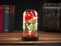 Lunartec Rose Im Glas:Edle Kunst-Rose Mit LED-Beleuchtung In Echtglas-Kuppel, Rot -Lunartec Shop nx9635 7