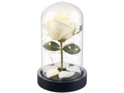 Lunartec LED Rose Im Glas:Edle Kunst-Rose Mit LED-Beleuchtung In Echtglas-Kuppel, Weiß -Lunartec Shop nx9636 2
