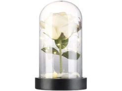Lunartec LED Rose Im Glas:Edle Kunst-Rose Mit LED-Beleuchtung In Echtglas-Kuppel, Weiß -Lunartec Shop nx9636 3