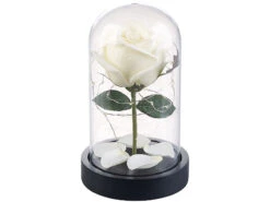 Lunartec LED Rose Im Glas:Edle Kunst-Rose Mit LED-Beleuchtung In Echtglas-Kuppel, Weiß -Lunartec Shop nx9636 6