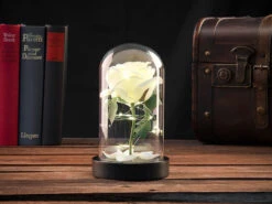 Lunartec LED Rose Im Glas:Edle Kunst-Rose Mit LED-Beleuchtung In Echtglas-Kuppel, Weiß -Lunartec Shop nx9636 7